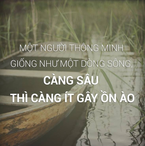 quản trị chung cư
